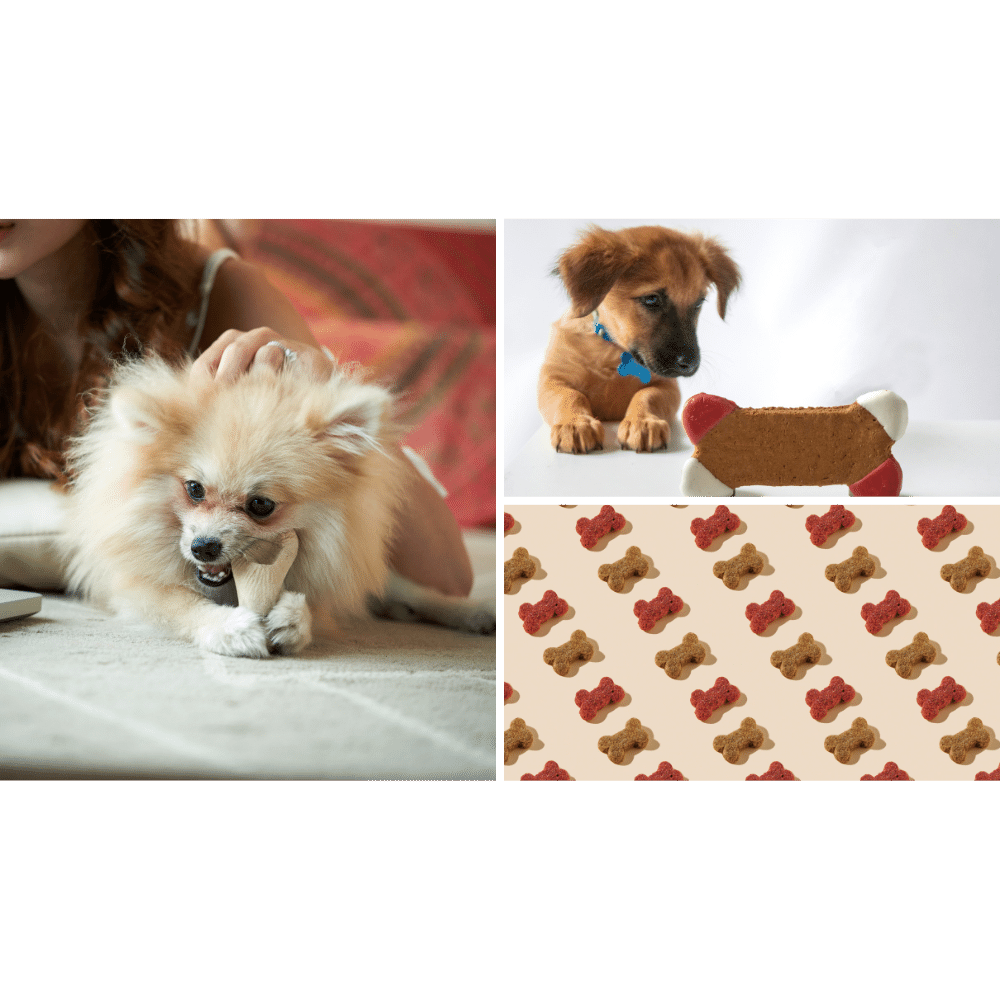 best-dental-chews-for-dogs-review-and-buying-advice-on-dental-treats