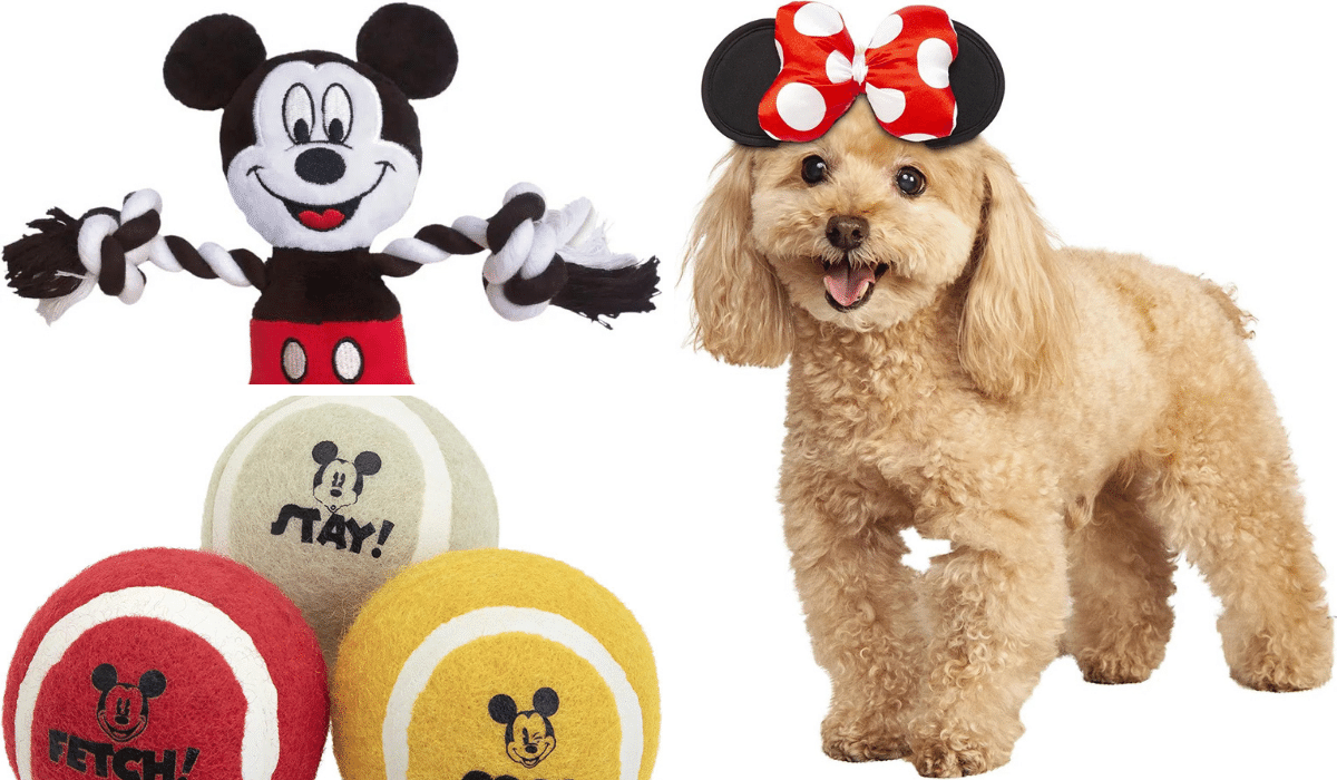 Disney Magic Unleashed: Pamper Your Pooch Part 1 - Disney Dog Toys and Accessories