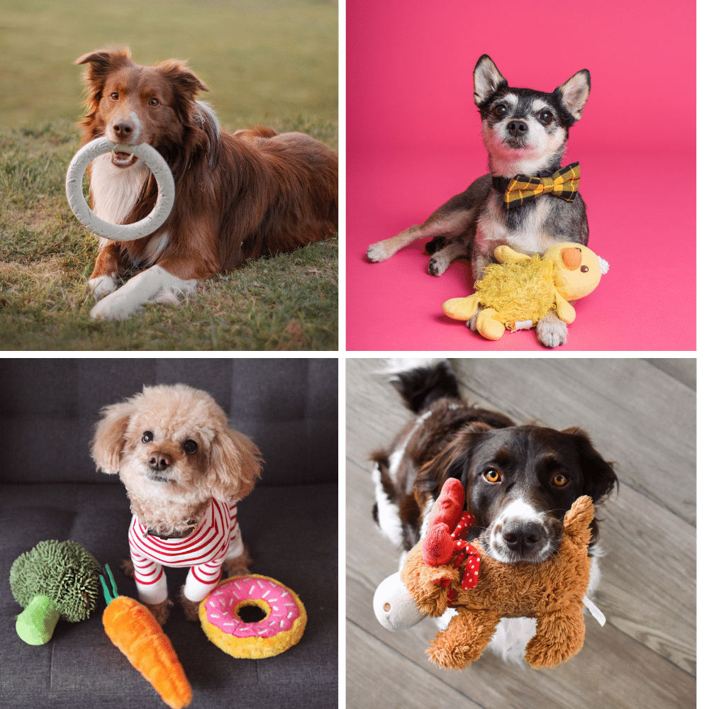 A Tail-Wagging Good Time: Finding the Perfect Toys for Your Pup