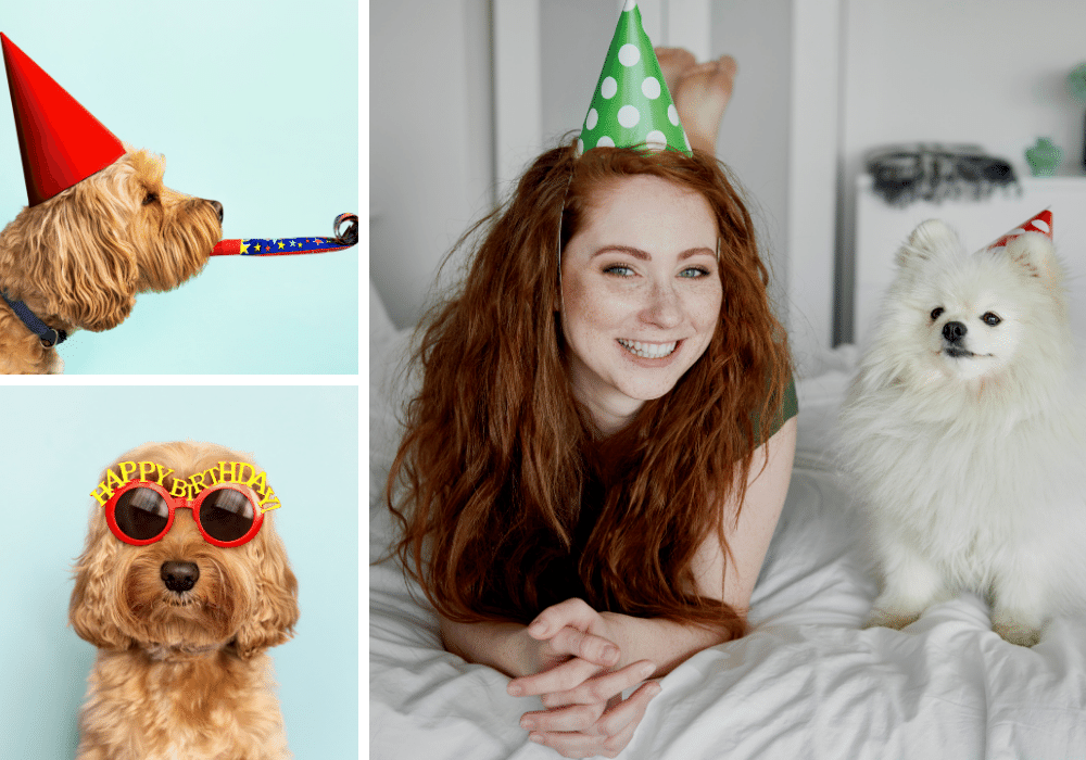 15 Birthday Presents for Dog Lovers: Unleash the Woof-tastic Fun!