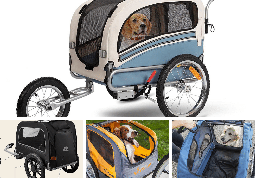 Four-Legged Freedom: Reviewing the Best Dog Bike Trailers Around!