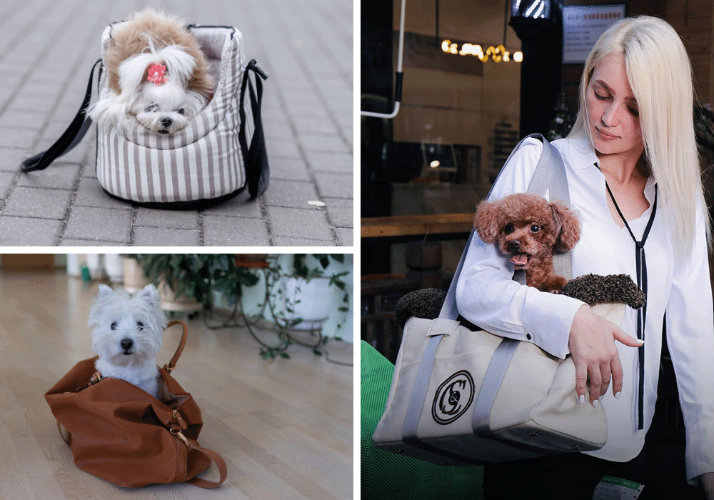 Are You Dog-Gone Crazy for the Top 6 Dog Carrier Purses?