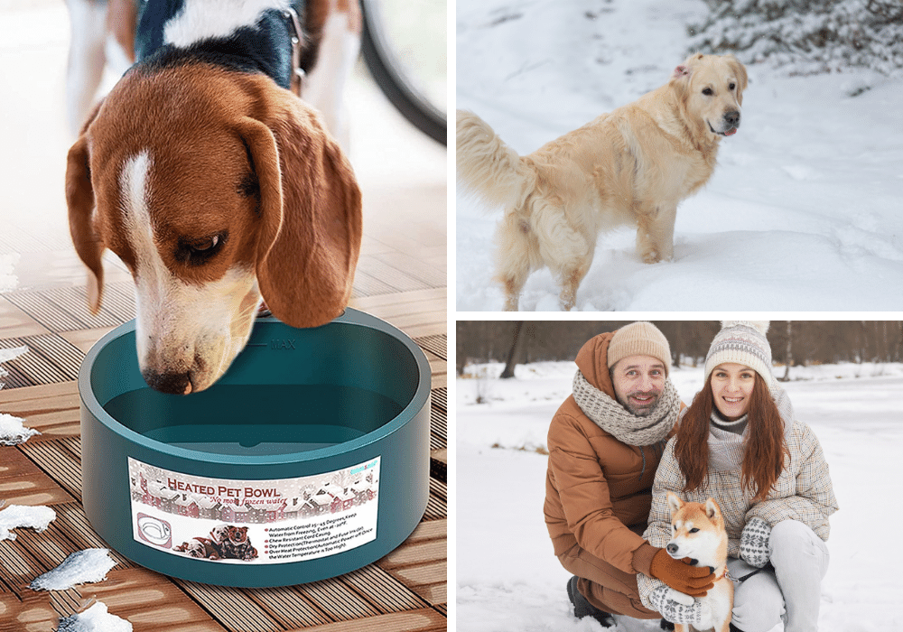 Paw-fect Heating: 3 Heated Water Bowls for Dogs That'll Keep Your Pooch Warm All Winter!