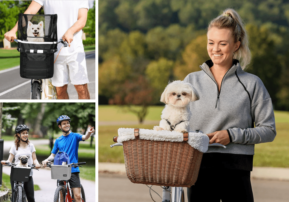 Fido's Finest: Ranking the Top 5 Dog Bike Baskets for Your Furry Friend!