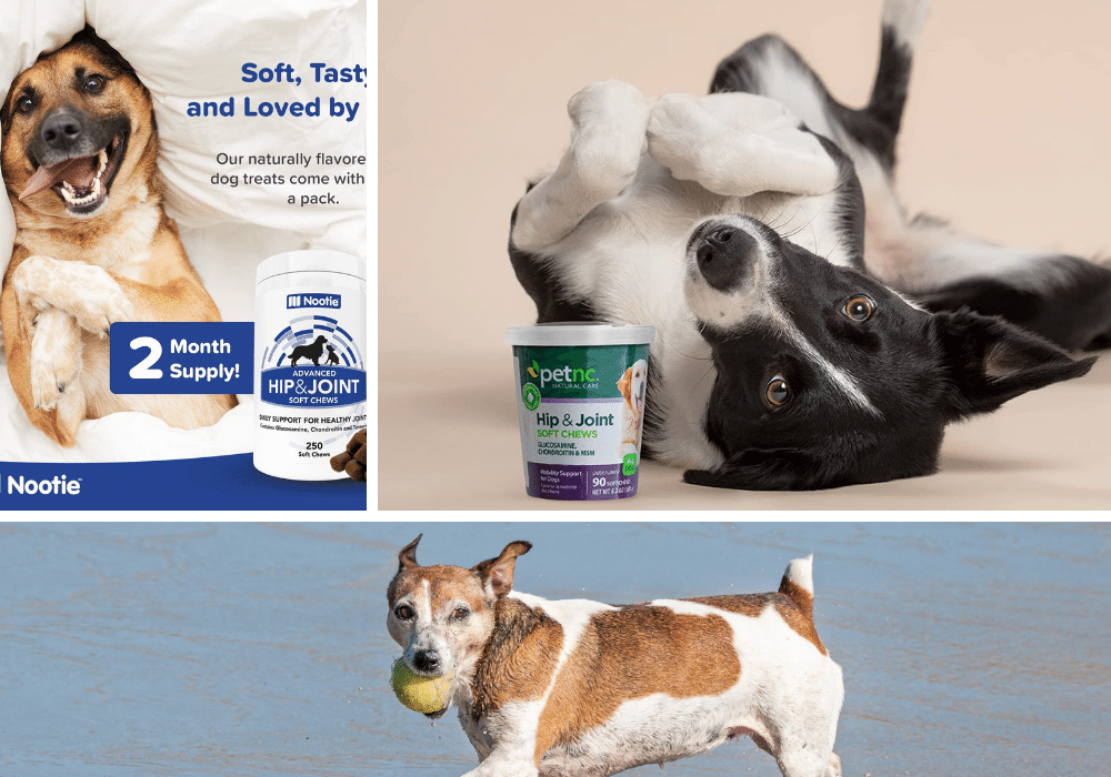 13 Hip and Joint Supplements for Dogs: Canine Care For Maximum Mobility!