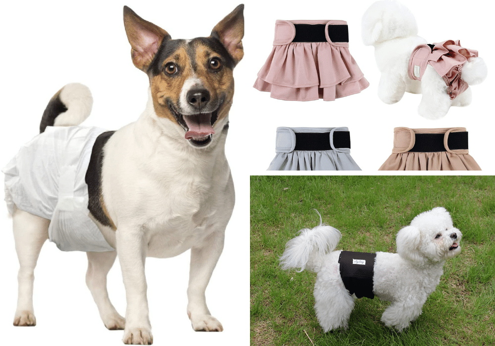 A Woofing-Good Time: 6 Diapers That'll Keep Your Dog in Heat Comfortable and Stylish