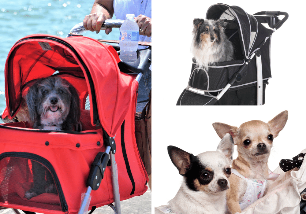 Rolling in Style: The Best Dog Strollers for All Dog Sizes