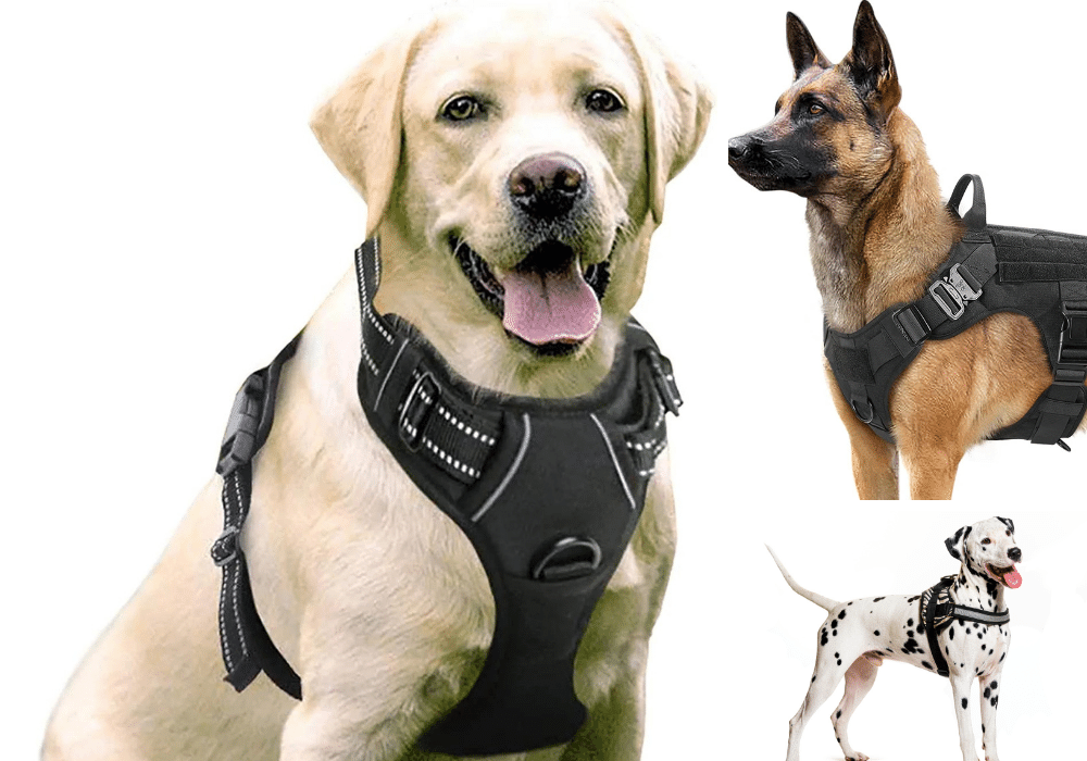 Finding Fido's Perfect Fit: The Best 5 Dog Harnesses for Large Dogs